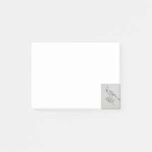 Bluejay Bird Post-It® Notes, 10.2 cm x 7.6 cm Post-it Notes