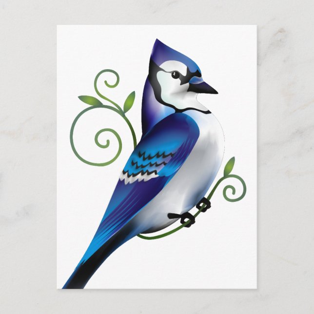 Bluejay Day Postcard (Front)