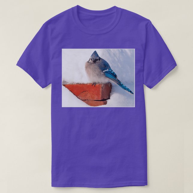 Bluejay In The Snow Triblend T-Shirt (Design Front)