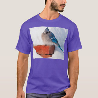 Bluejay In The Snow Triblend T-Shirt