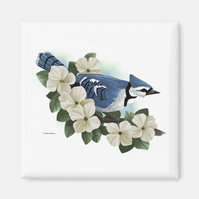 Bluejay Magnet (Front)
