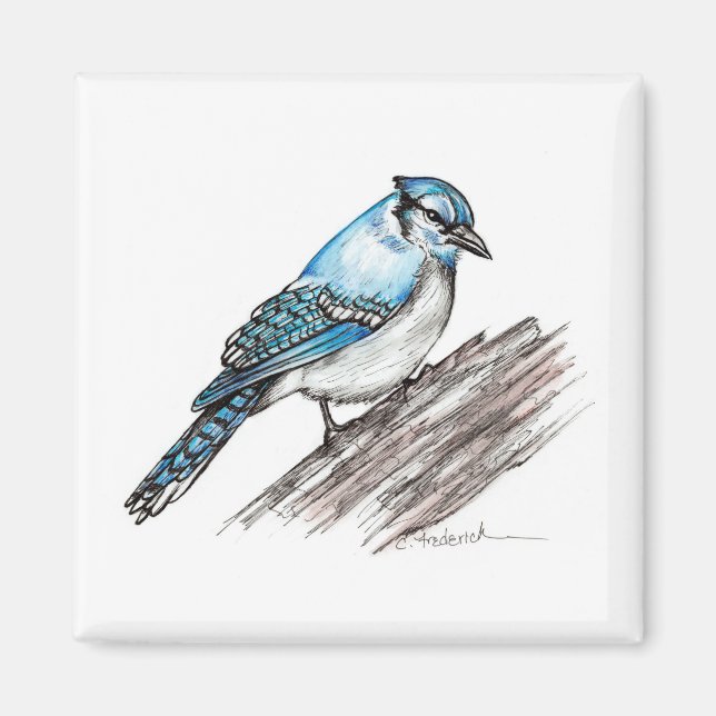 Bluejay Magnet (Front)