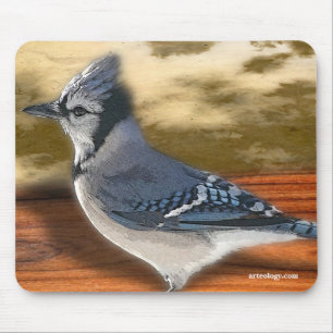 BLUEJAY MOUSE MAT