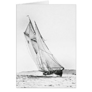 Bluenose Crosses the Line