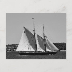 Bluenose II Postcard