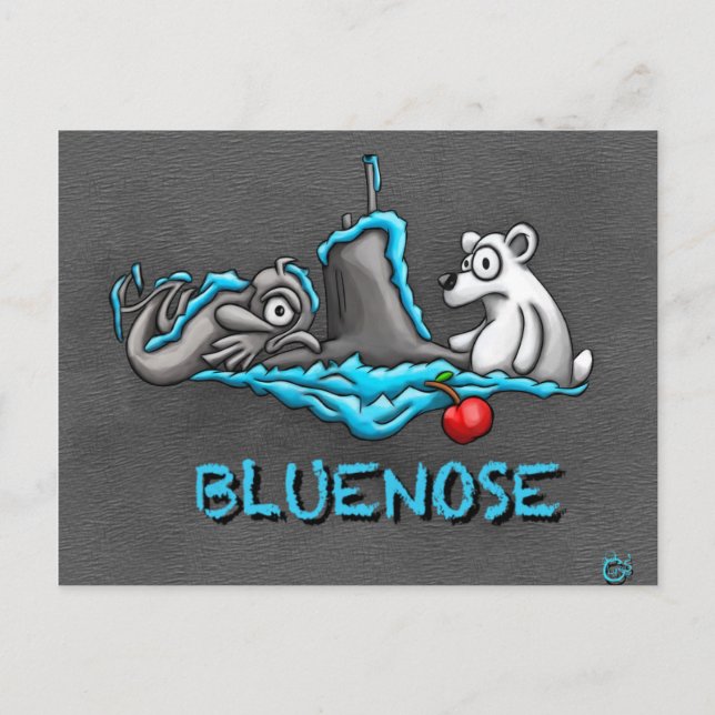 Bluenose Phins postcard (Front)