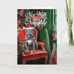 Bluenose Pitbull Dog Naughty or Nice Christmas Holiday Card