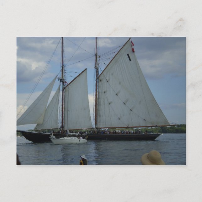 Bluenose Schooner Tall-Ship Racing Postcard (Front)