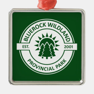 Bluerock Wildland Provincial Park Sun Trees Metal Tree Decoration