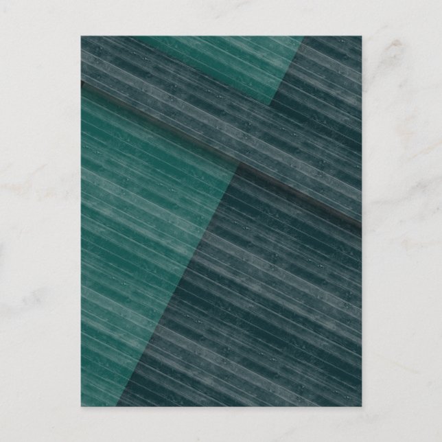 blues postcard (Front)