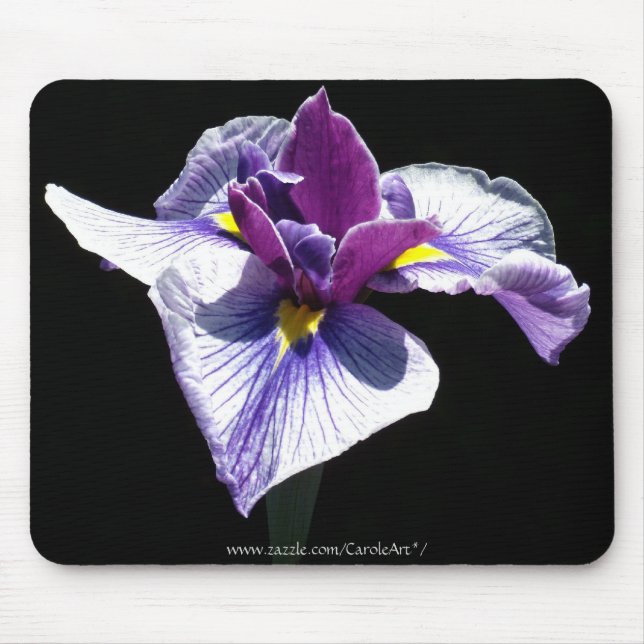 Bluest Purple Iris Mouse Mat (Front)