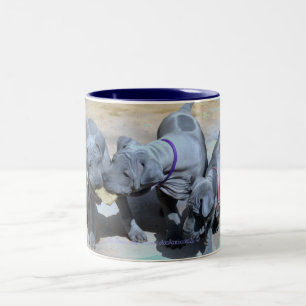 "BlueThai Ridgeback-Phu Quoc dog " Two-Tone Coffee Mug