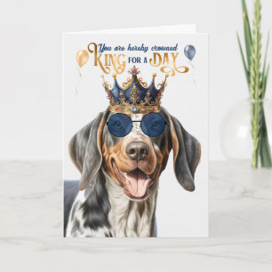 Bluetick Coonhound Dog King for Day Funny Birthday Card