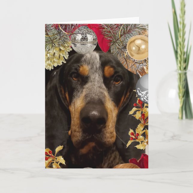 Bluetick Coonhound Dog/ Pet Photo Christmas Card (Front)