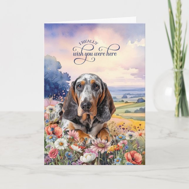 Bluetick Coonhound Dog Wildflowers Miss You Card (Front)