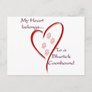 Bluetick Coonhound Heart Belongs Postcard