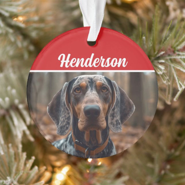 Bluetick Coonhound Name Photo Holiday Christmas Ornament (Tree)