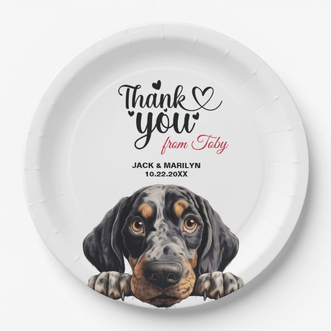 Bluetick Coonhound Paper Plate (Front)