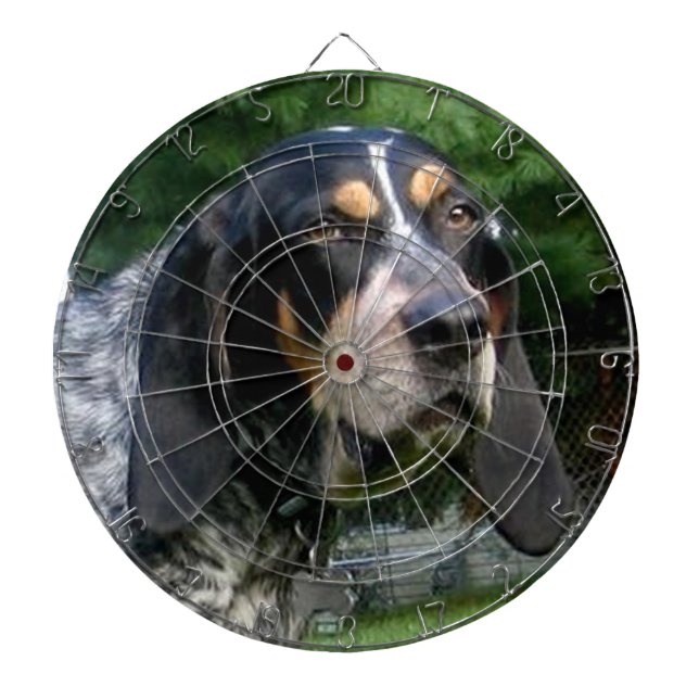 Bluetick Coonhound.png Dartboard (Front)
