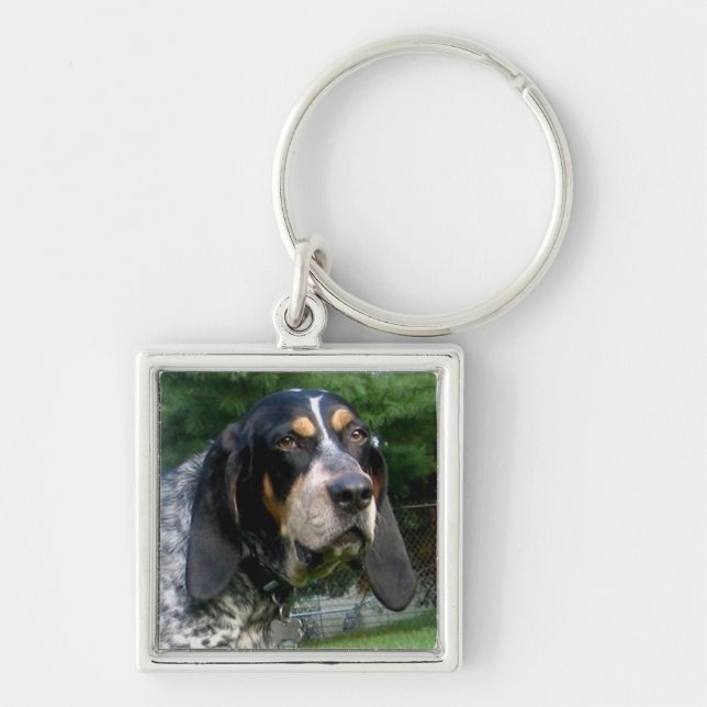 Bluetick Coonhound.png Key Ring (Front)