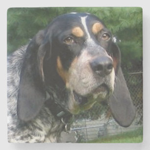 Bluetick Coonhound.png Stone Coaster