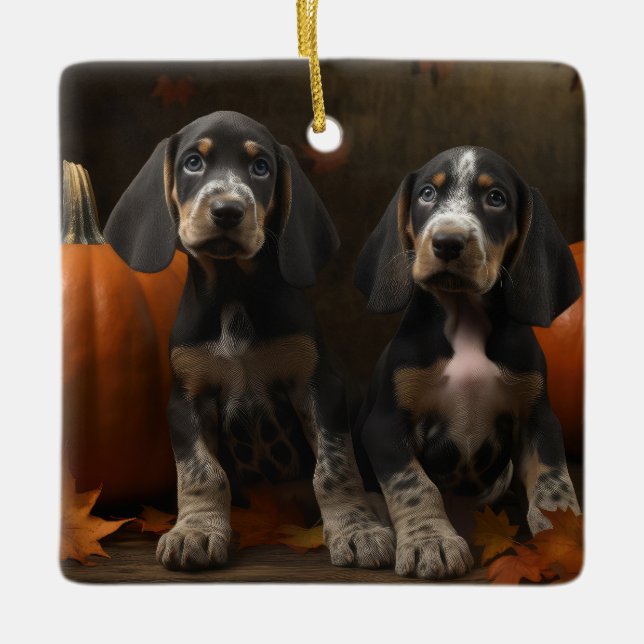 Bluetick Coonhound Puppy Autumn Delight Pumpkin  Ceramic Ornament (Front)