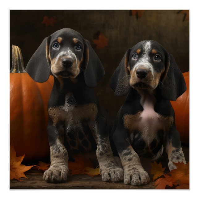 Bluetick Coonhound Puppy Autumn Delight Pumpkin  Poster (Front)