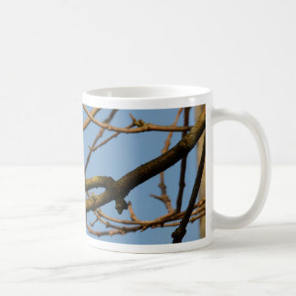 Bluetit Coffee Mug