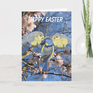 Bluetit Mother and Babies Easter Holiday Card