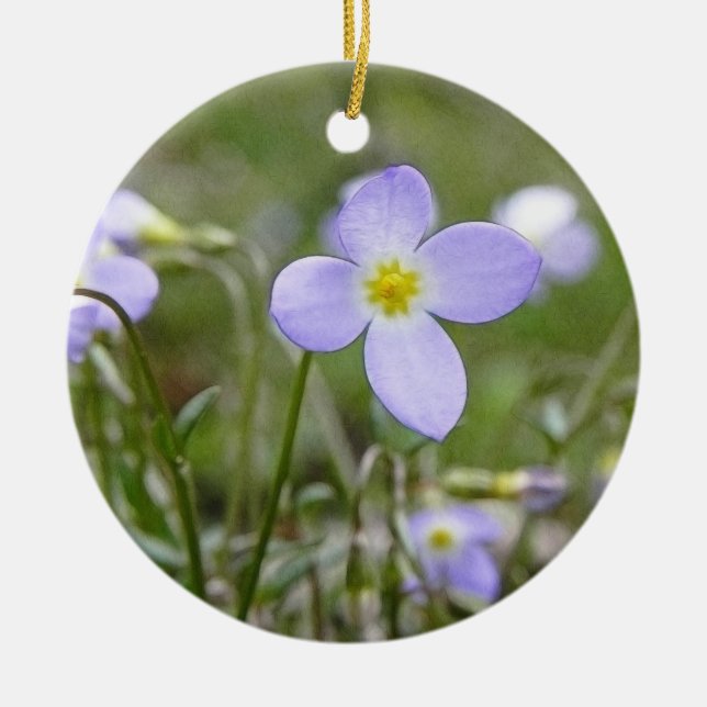 Bluets - Quaker Ladies Ceramic Tree Decoration (Front)