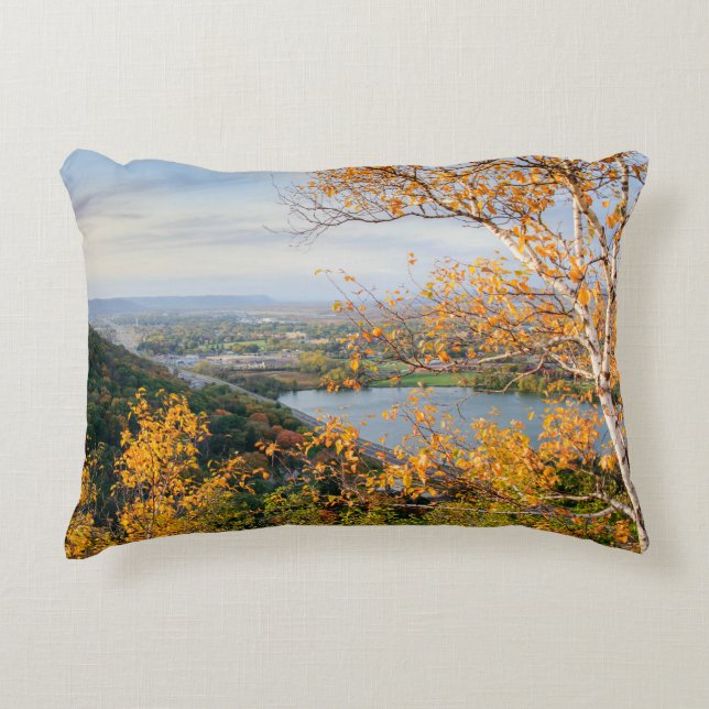 Bluff & Birch Pillow (Front)