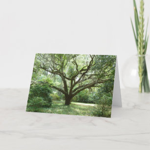 Bluffton Summer Afternoon Card