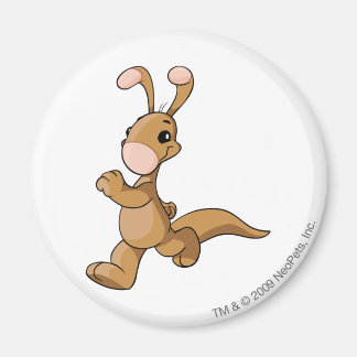 Blumaroo Brown Magnet