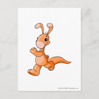 Blumaroo Orange Postcard