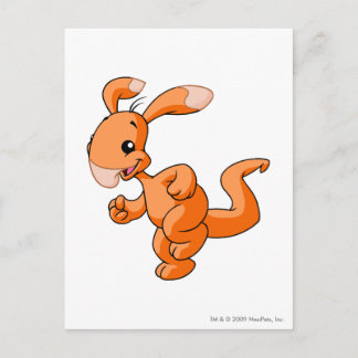 Blumaroo Orange Postcard