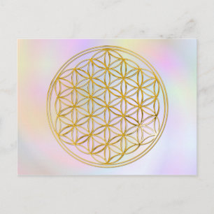 Blume des Lebens klein pastell Postcard