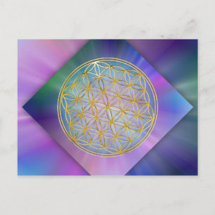 Blume Des Lebens Postcard