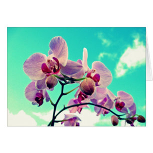 Blumen