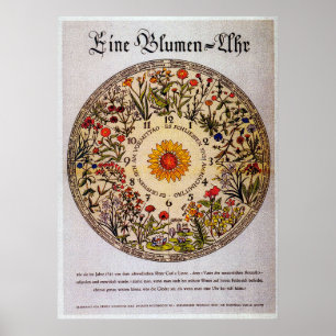Blumenuhr Flower Clock 2 Vintage Art Poster