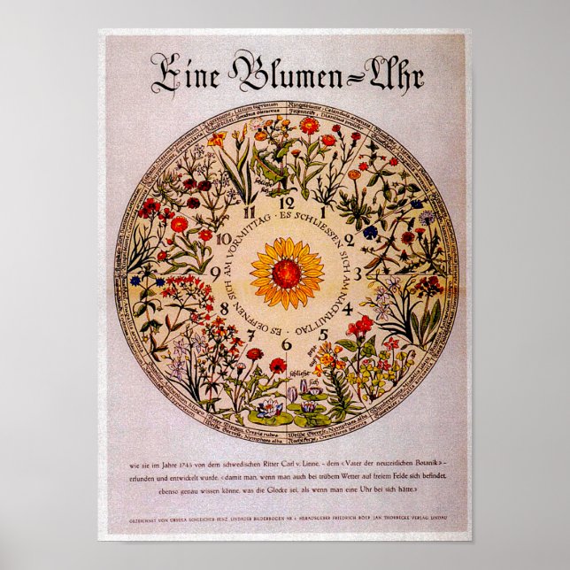 Blumenuhr Flower Clock Vintage Art Poster (Front)
