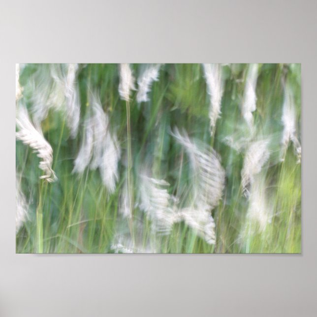 Blurred Motion Grass Nature Abstract Poster (Front)