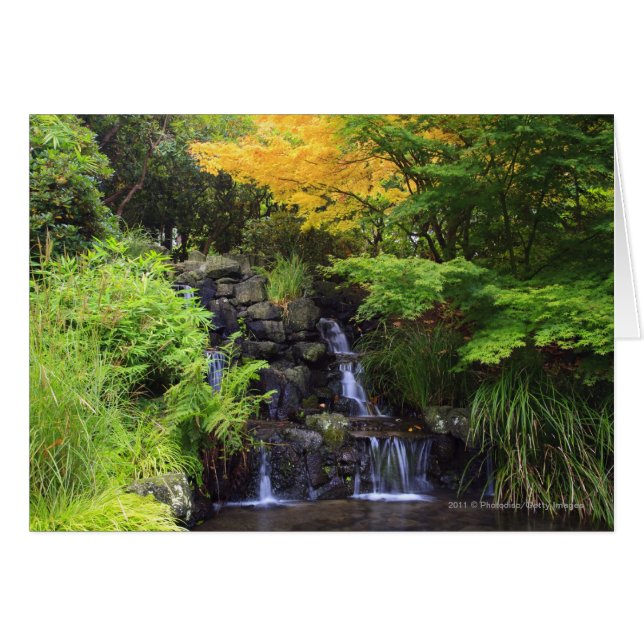 Blurred Rock Waterfall, Maple Green & Orange Trees (Front Horizontal)