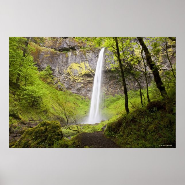 Blurred Waterfall around lush Greenery in Oregon Poster (Front)