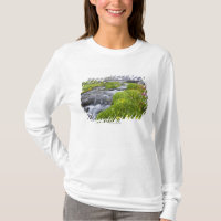 Blurry River with Yellow White Pink Wildflowers