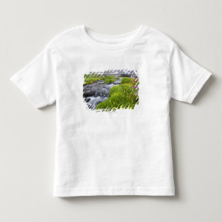 Blurry River with Yellow White Pink Wildflowers Toddler T-Shirt