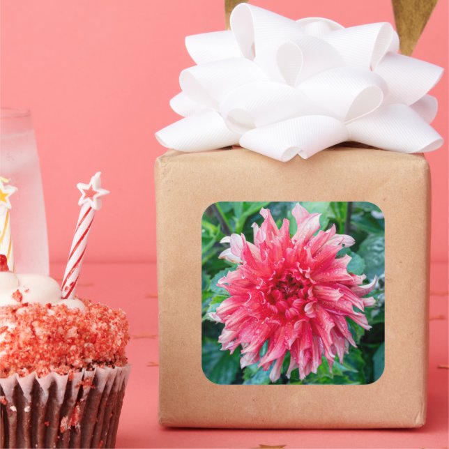 Blush Dahlia Bloom – Soft Petal Harmony Square Sticker (Party)