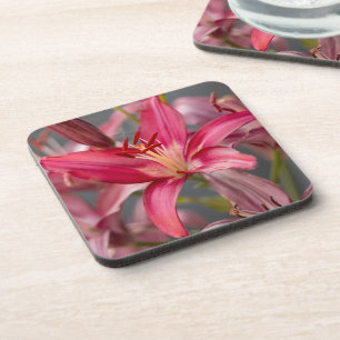 Blush Elegance: Pink Asiatic Lily, Flower Photo Coaster