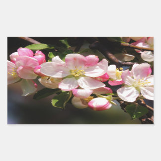 Blush Flower Easter Stickers