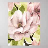 Blush Magnolia Flowers