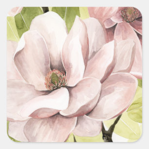 Blush Magnolia Flowers Square Sticker